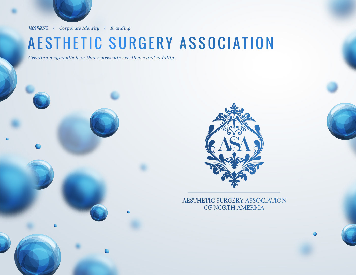 Aesthetic Surgery Association of North America crest logo